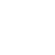 alijushi group logo web